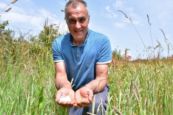 Nicolas Bathellier, maire de Sains